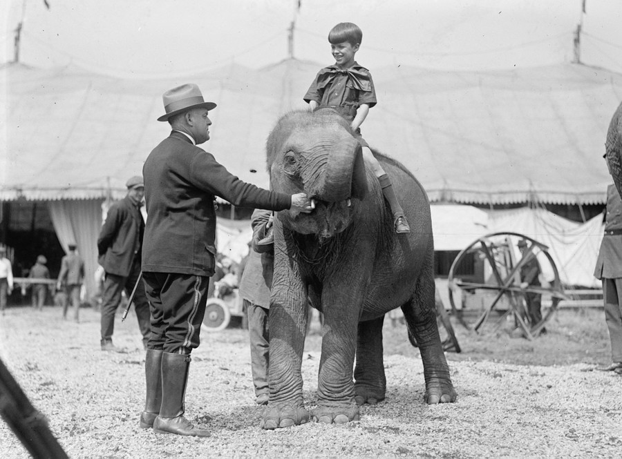 A boy sits atop a young elephant outside a circus tent.