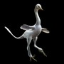A white, birdlike dinosaur with a long neck