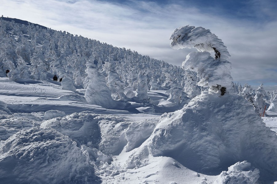 Juhyo: The Snow Monsters on Japan's Mount Zao - The Atlantic