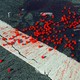 a container of red currants, shattered on the ground in a parking lot