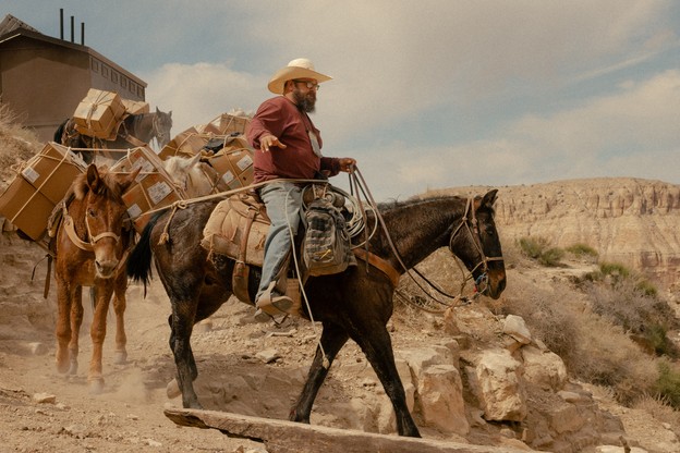 photo of bearded man in cowboy hat riding and leading train of mules covered in packages and boxes down dusty trail with canyon rim in background