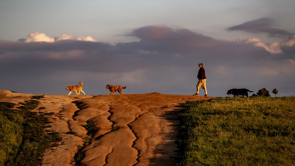 A man walks across a mountaintop with his dogs.