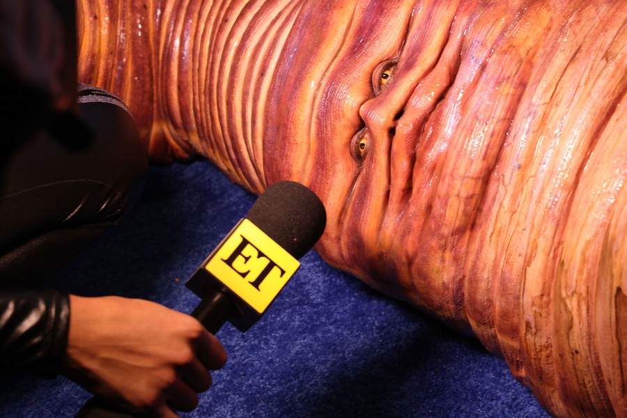 A person in a full-body worm costume lies on a carpet as someone kneels down to place a microphone in front of them.