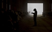 a silhouetted person in a barn