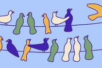 A group of birds perched on power lines, with one bird flying away, halfway out of the frame