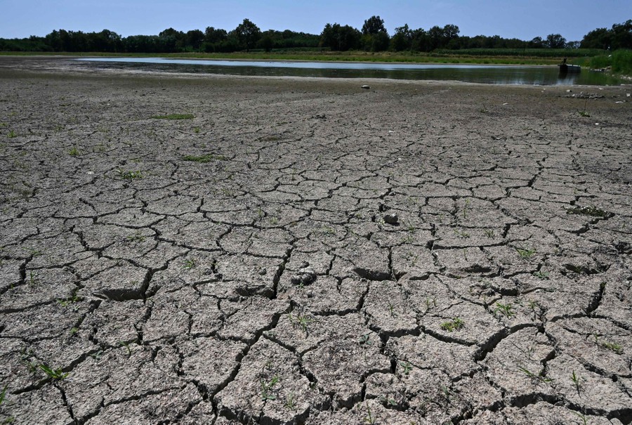 Dried out. Dried out. засохшая земля. наступила большая засуха. луга засохшие от засухи.