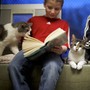 Two elementary-school aged boys read chapter books next to cats.
