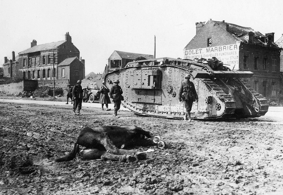 photo World War 1 Photos Animals In The War The Atlantic world war i in photos animals at war