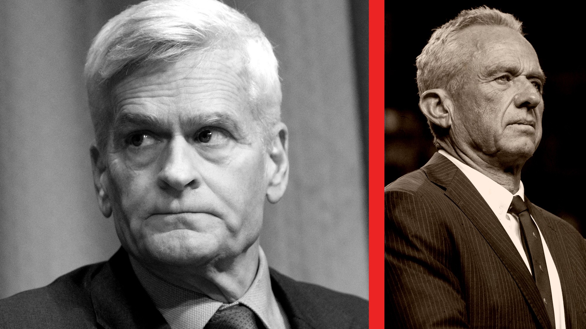 Why Did Bill Cassidy Do It?