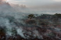 A lone tree stands among smoke in this aerial view of a forest fire in Porto Jofre, Mato Grosso state, Brazil, taken on September 5, 2021.