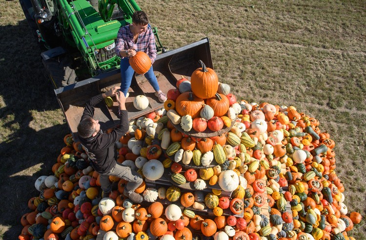 Photos of the Week: Human Tower, Pumpkin Pyramid, Monster Town - The ...