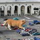 A cat walks among miniature cars in a model parking lot at a zoo, making it appear as if the cat was gigantic.