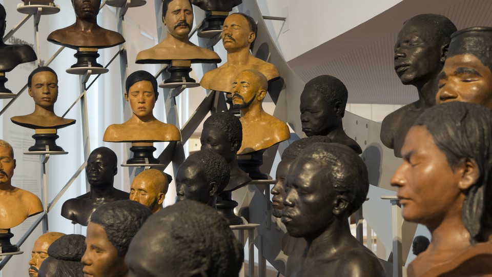 Busts on display in a museum