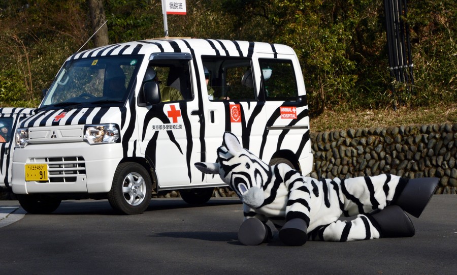 Zoo Security Drills: When Animals Escape - The Atlantic