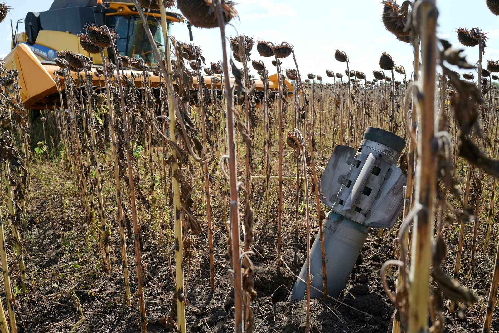A combine harvester sits, stopped, near the remains of a military rocket, embedded in the ground in a sunflower field.