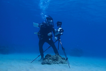 A diver wearing scuba equipment sets up a camera on a tripod underwater.