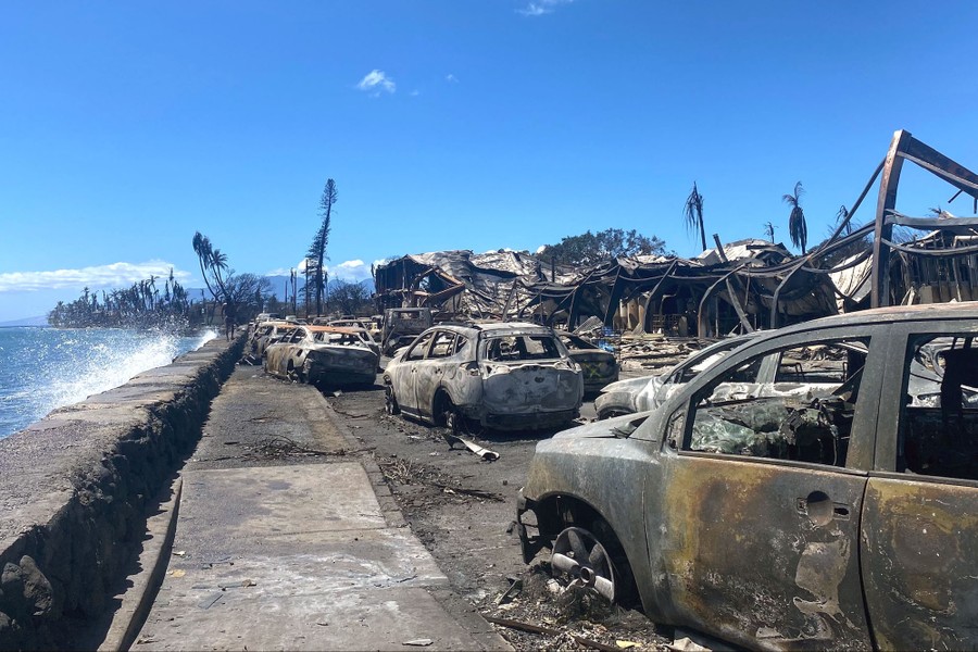 Burned cars sit on an oceanside road alongside destroyed buildings.