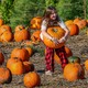 A child lifts a large pumpkin in a pumpkin patch.