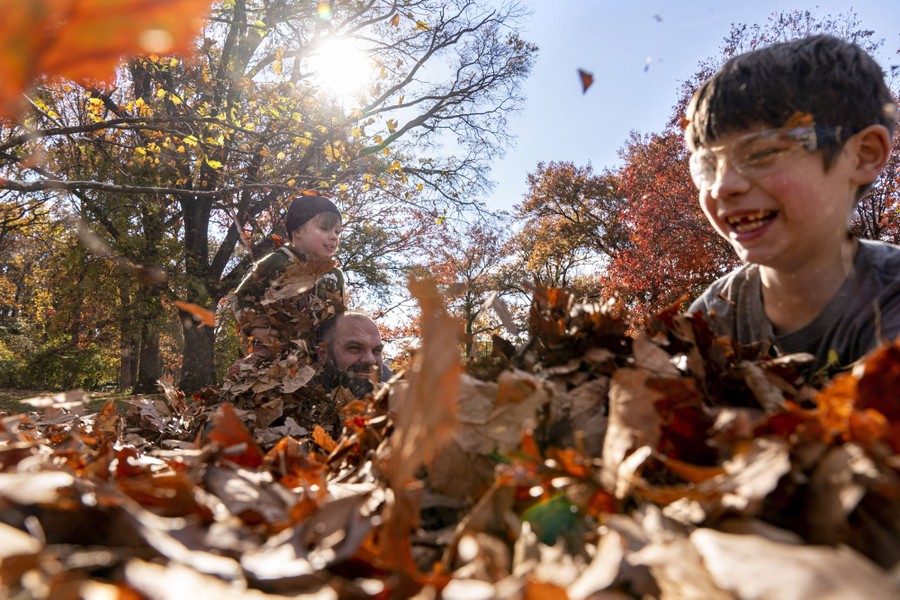 Two children play in a pile of dry leaves with their father.