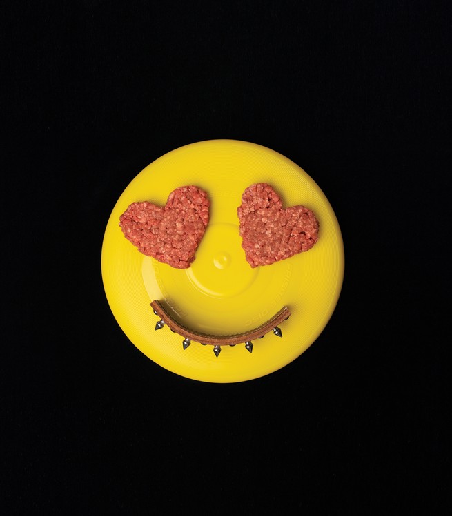 photo of yellow frisbee with 2 heart-shaped ground-beef patties as eyes and arc of dog collar as smile
