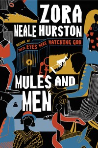 The black, blue, yellow, and red cover of Mules and Men