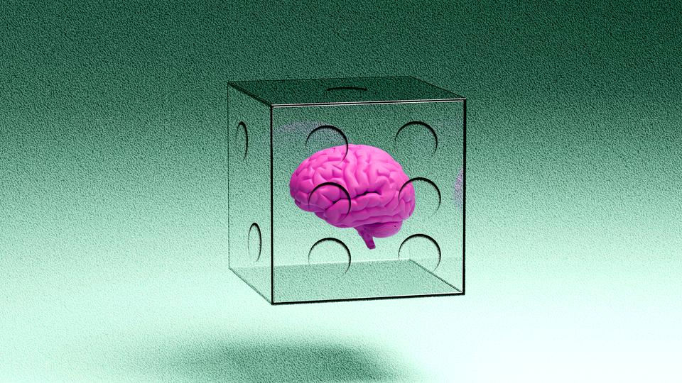 a brain in a transparent die