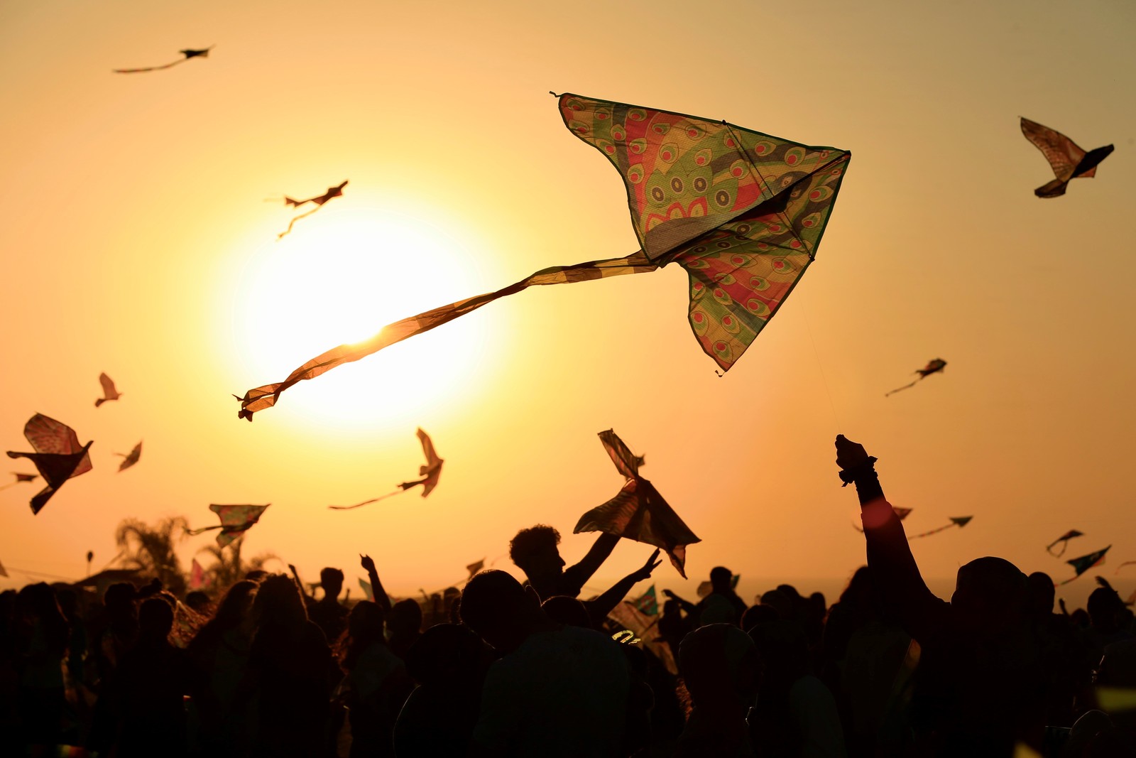A crowd of people fly many kites during a festival.