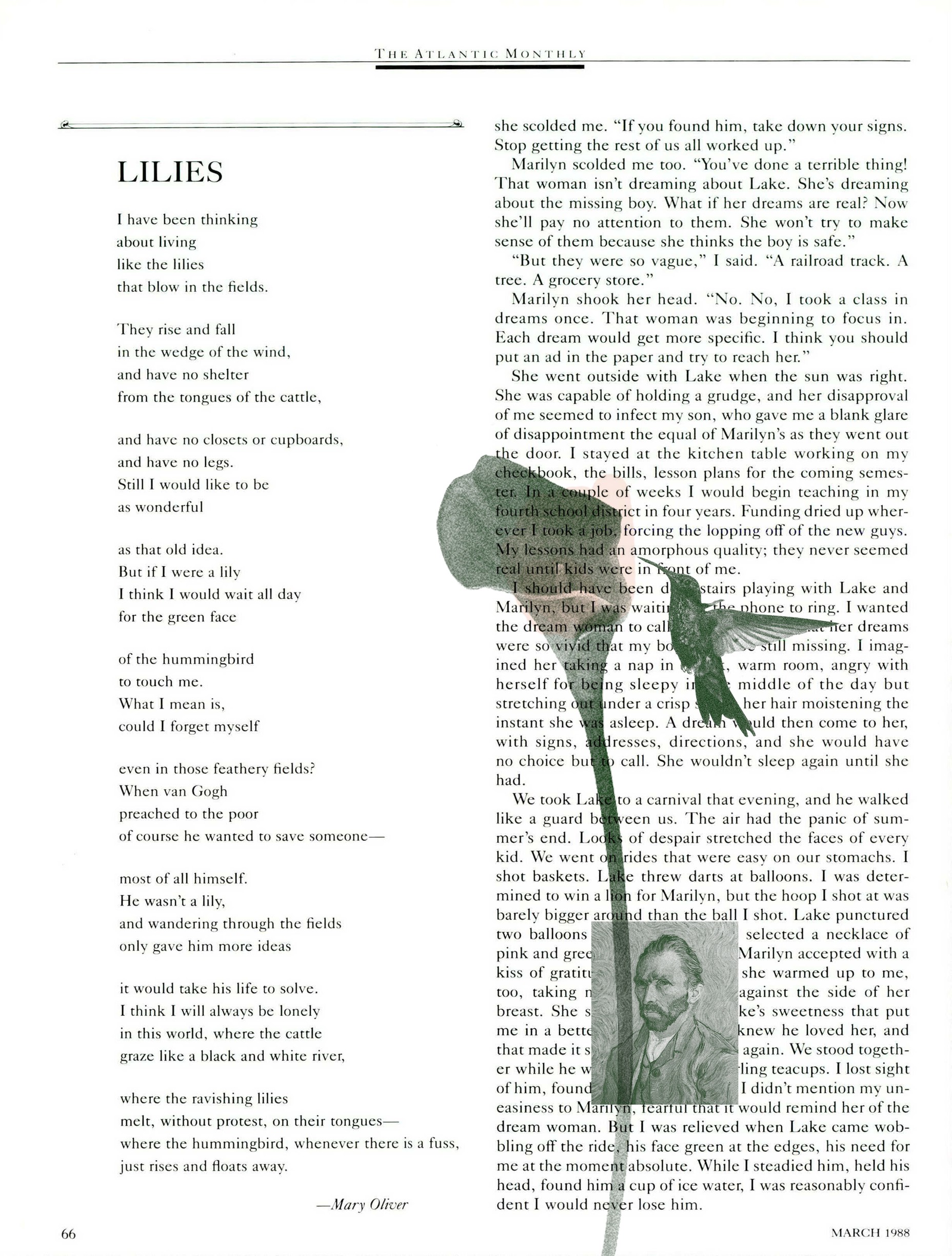 A Poem by Mary Oliver 'Lilies' The Atlantic