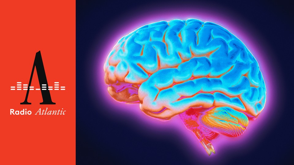 Multicolored image of a brain