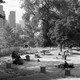 black-and-white photo of urban park with people camping and skyscrapers in distance