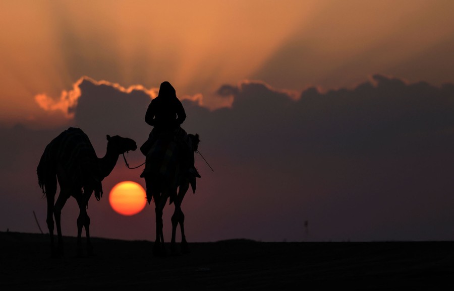 A rider on a camel leads another camel in a desert at sunrise.