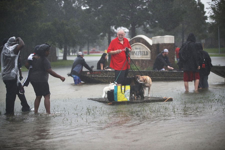 Photos: Pet Rescues In Harvey's Wake - The Atlantic