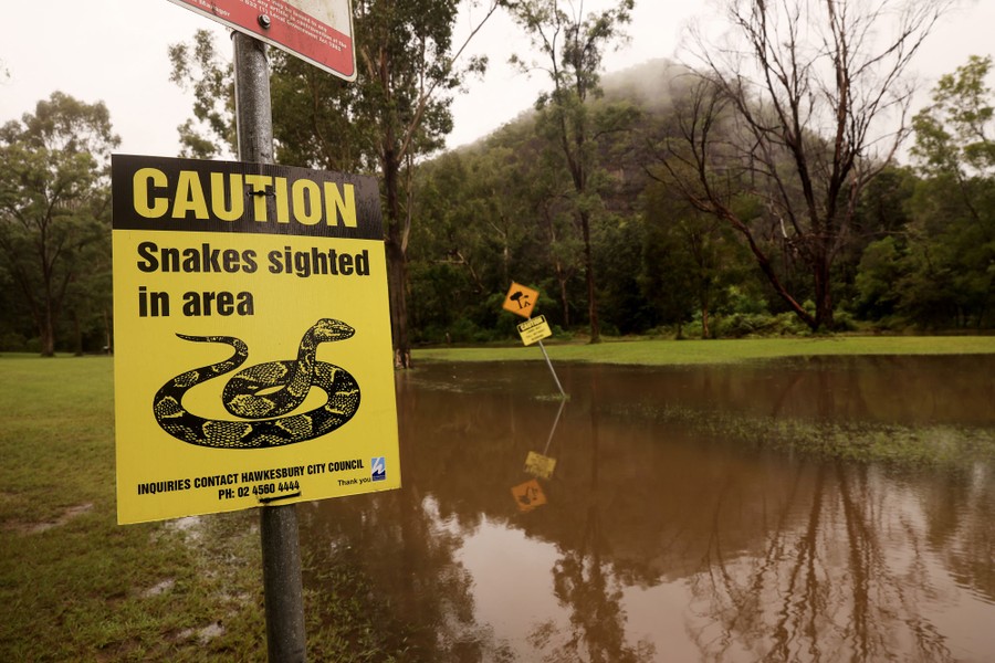 A flooded area sports several signs, the closest reading "Caution, snakes sighted in area."