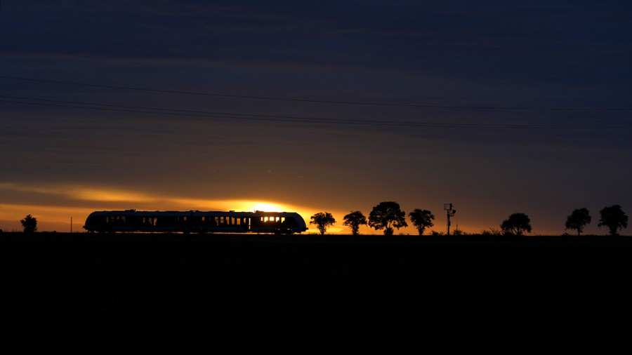 A small passenger train passes trees silhouetted by the rising sun.