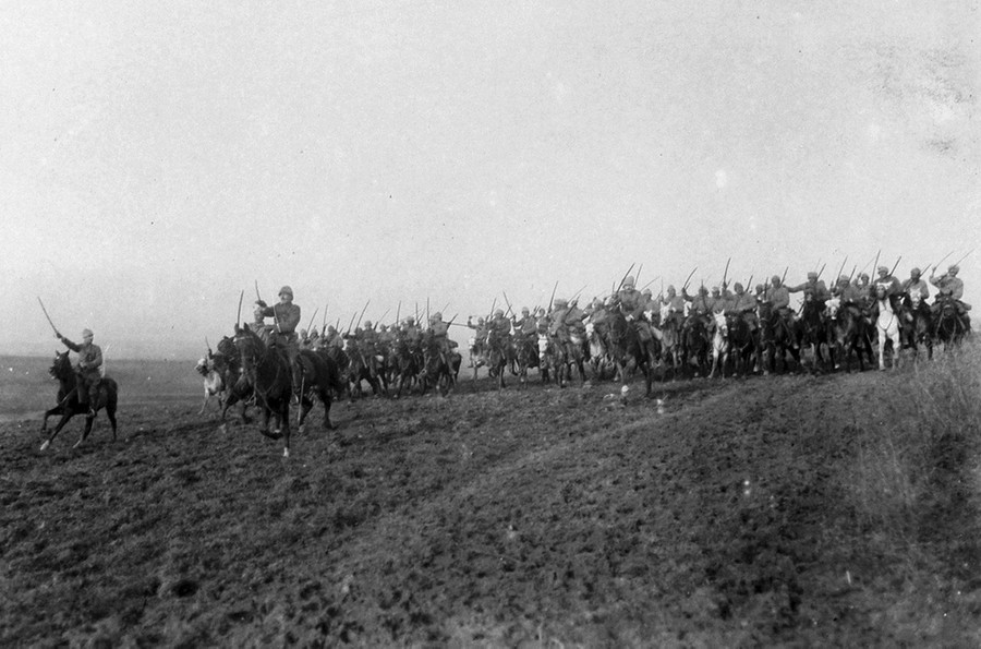 photo World War 1 Photos Animals In The War The Atlantic world war i in photos animals at war