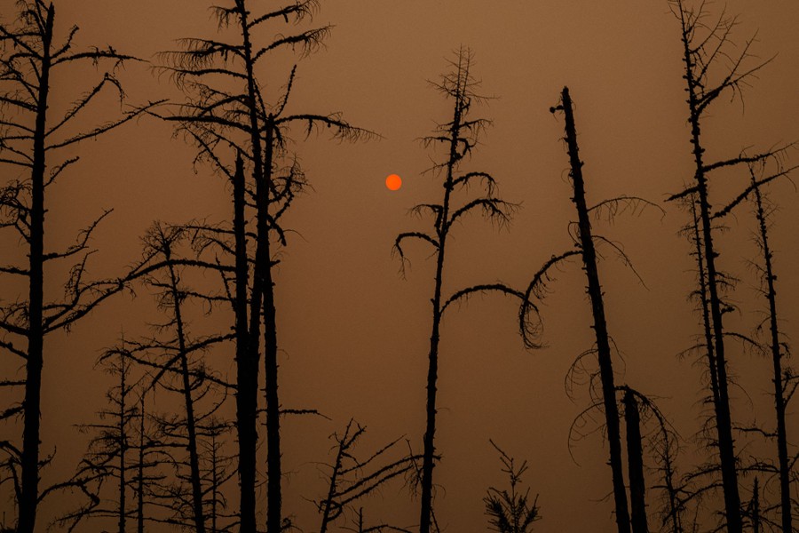 The sun is seen as a red circle in a smoky sky.