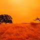 An orange sky filled with wildfire smoke hangs above hiking trails at the Limeridge Open Space in Concord, California, on September 9, 2020.