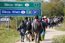 Migrants walk on a road toward the crossing point between Hungary and Austria in Nickelsdorf on September 12, 2015.