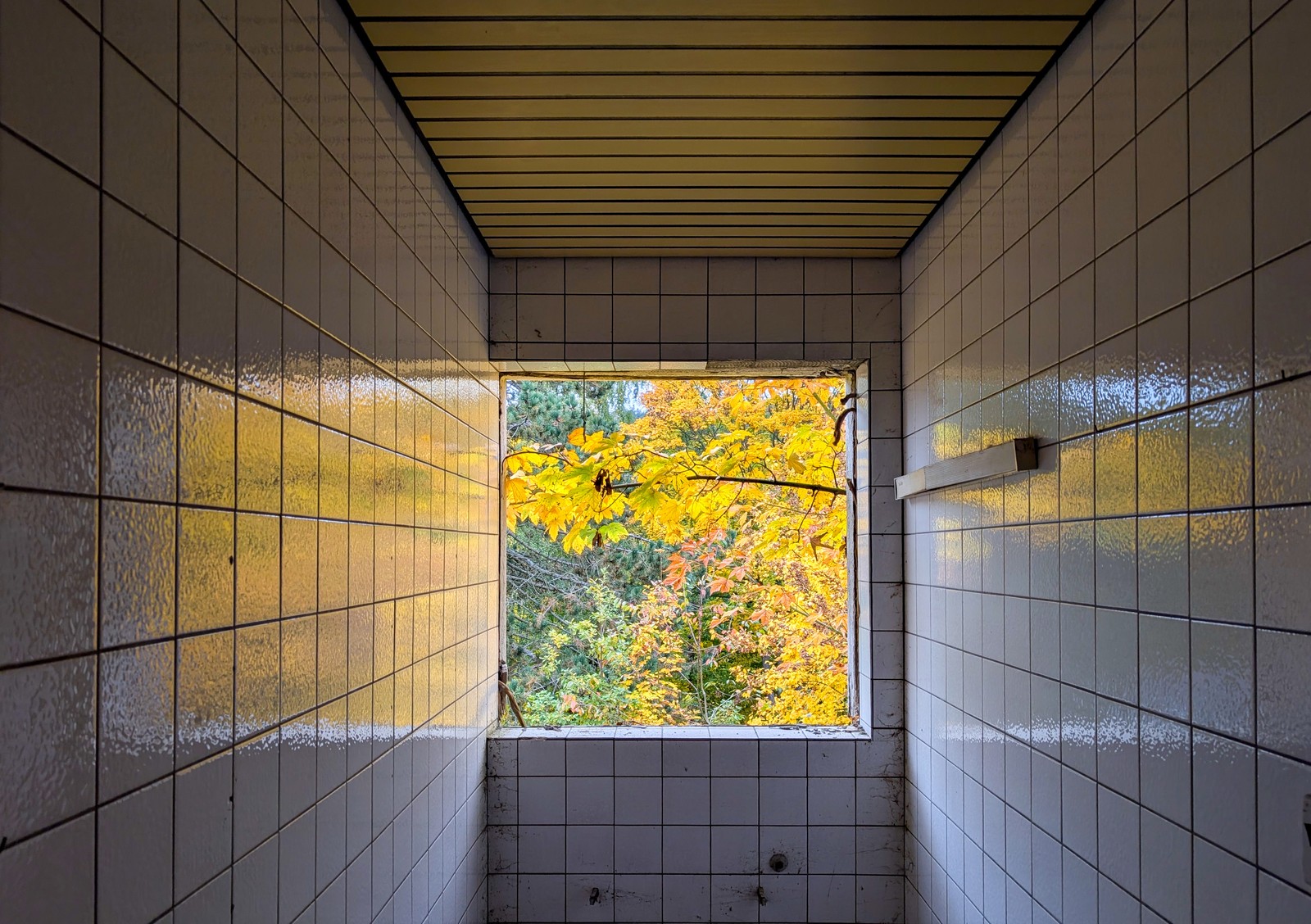 A tiled corridor in an abandoned building frames a view of bright yellow autumn leaves outside.
