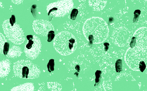 Some black smudges on a green background with white blobs