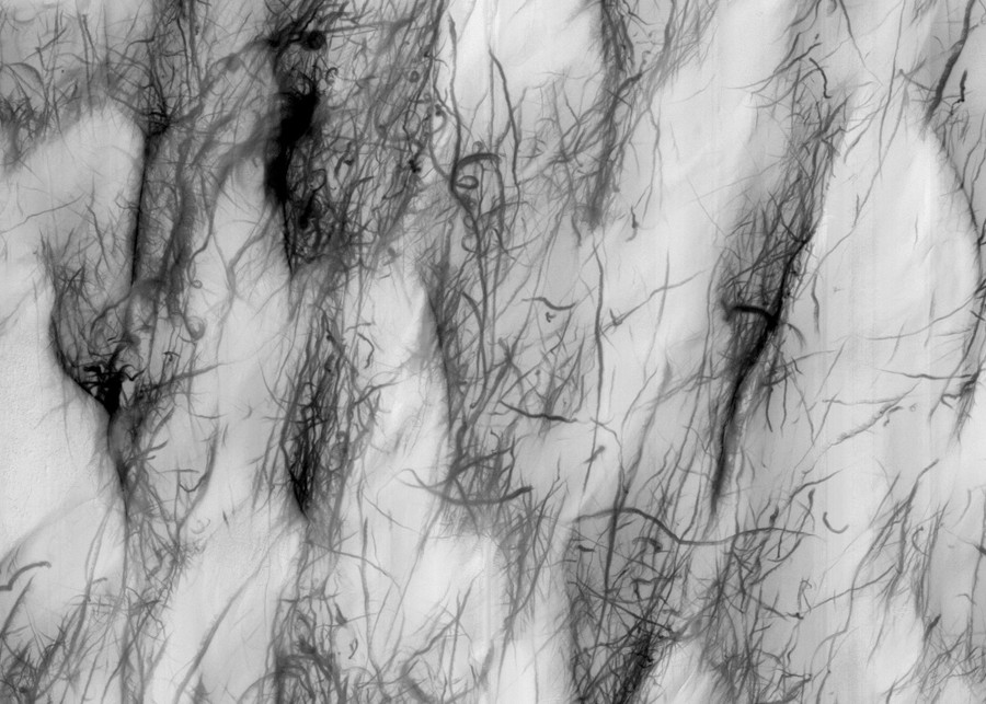 Whirlwind tracks swirl across multiple dunes.