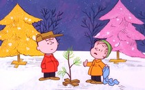 A still from "A Charlie Brown Christmas," in which Charlie talks to another character in the snow