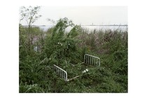 a broken down bed frame in a patch of tall grass by the water