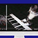 Video of cat playing piano being heavily edited with filters.