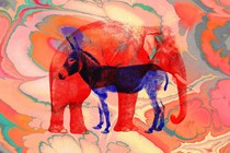 Collage of an elephant and a donkey on a psychedelic background