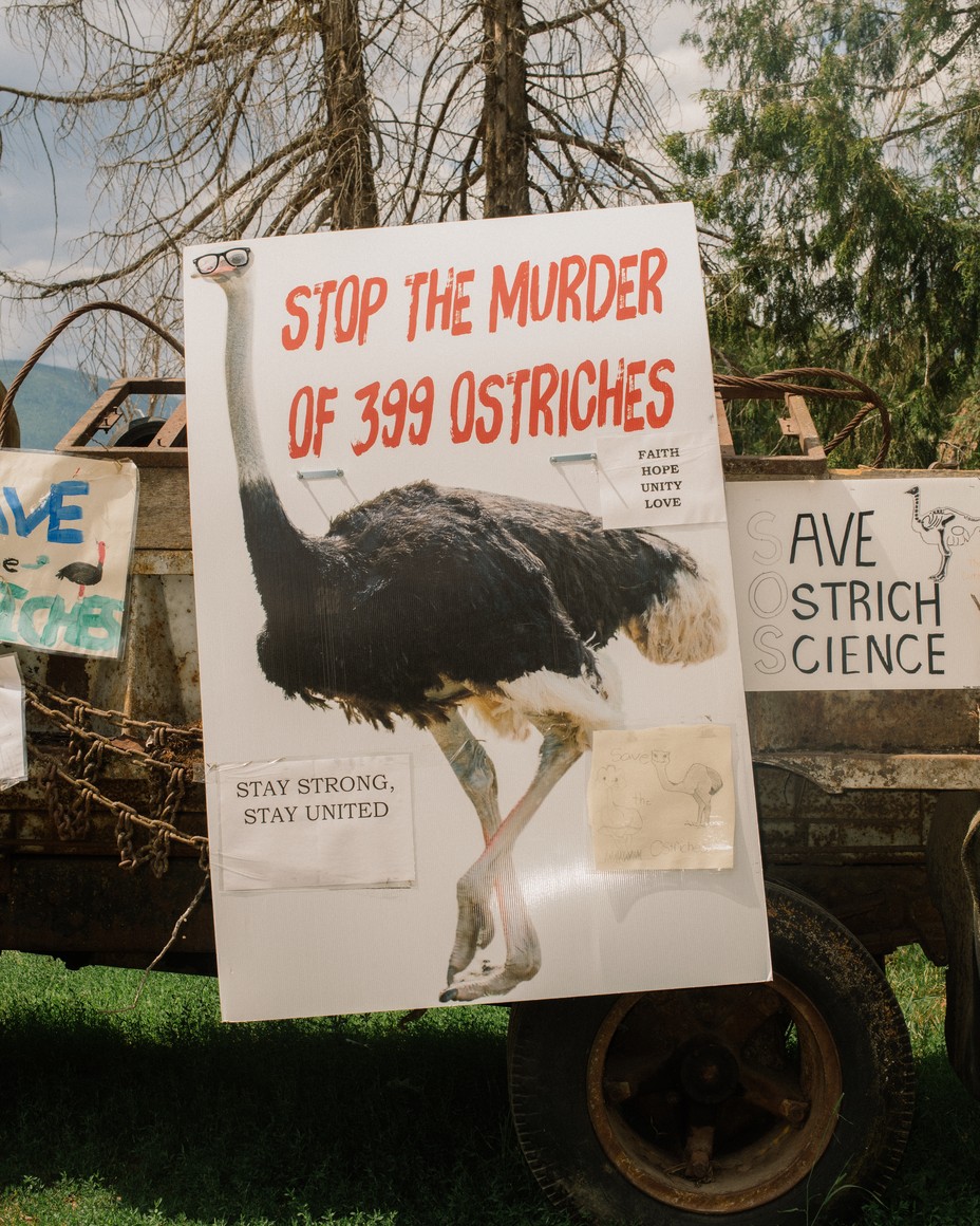 Ostrich_Farm_034.jpg