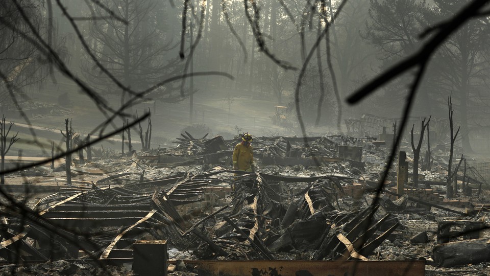 A firefighter stands in the middle of a burnt forest