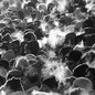Black and white photo of a crowd of people in winter weather, their breath visible