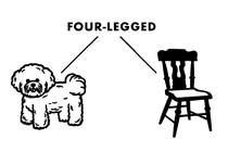 A diagram of the word "four-legged" pointing to a dog and a chair